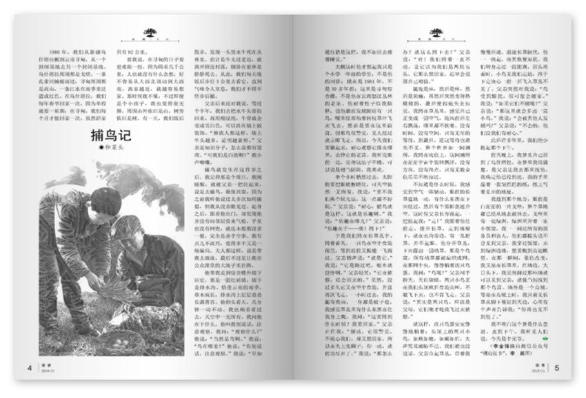 封面设计精美