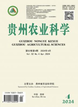 部级yobo体育官网优惠活动 1个月