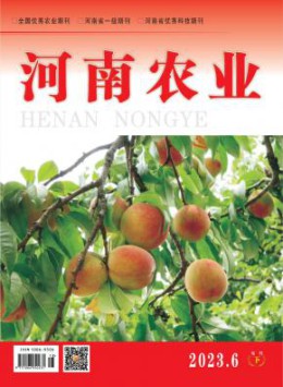全年定价 ￥292