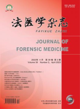yb体育官网首页大全 yb体育官网首