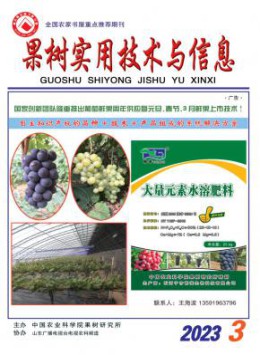 省级yobo体育正版官网 1个月内下