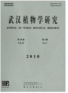 yb体育注册福利大全 yb体育注册福