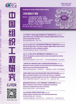 CSSCI南大yobo体育注册赠送 